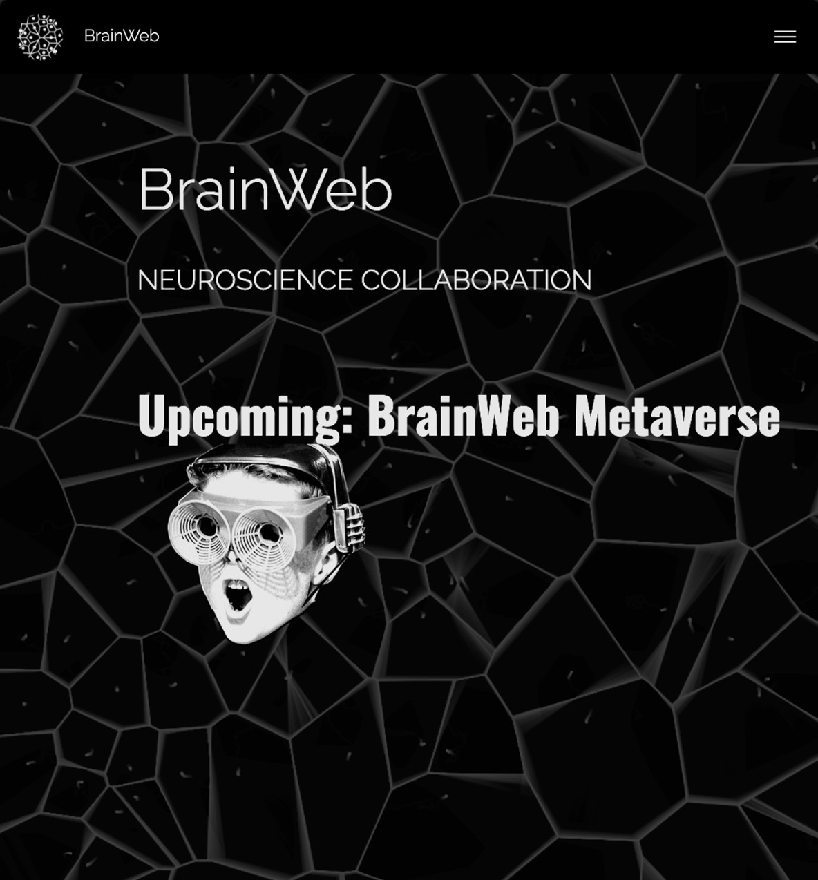 brainweb
