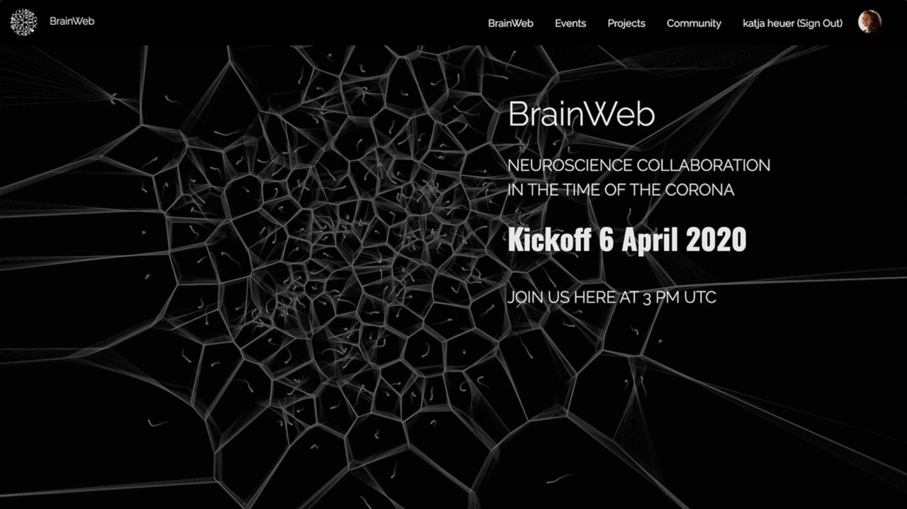 brainwebmeetings